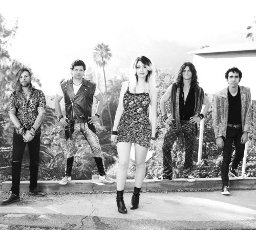 Fire Tiger Band Photo - Fire Tiger