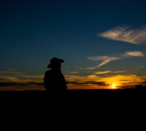 SilhouetteatSunset300dpi_480by328