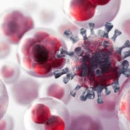 cancer cells and SB100